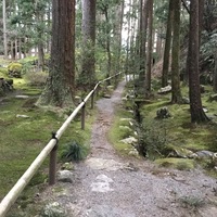 Medium_1 056